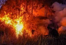 Karhutla Kalimantan Sudah Lintas Negara, Kenapa Baru Ramai Diberitakan Sekarang?