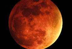 Bukan Gerhana, Ini Alasan Bulan Belakangan Tampak Kemerahan Akibat Kabut Asap Karhutla