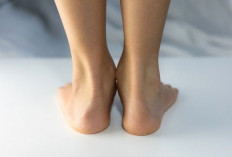 Sama-Sama Pakai Sepatu Seharian, Kenapa Bau Kaki Tiap Orang Berbeda?