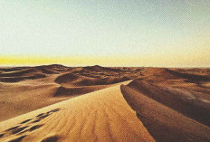 Wilayah Terpanas di Dunia, Suhu-nya Mencapai 70.7 Derajat 