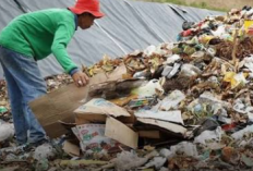 Pemerintah Siapkan Perubahan Nama Pemulung Menjadi Pemilah Sampah