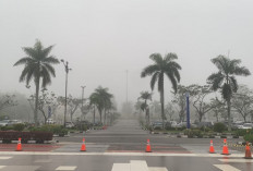  Kabut Sempat Ganggu Penerbangan di Pekanbaru, Jarak Pandang Kembali Capai 3.000 Meter