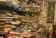 Alasan Buku Lama Punya Aroma yang Khas