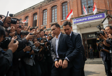 Dua Direktur Perusahaan Jadi Tersangka Karhutla di Kalimantan Tengah