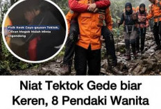 Terjebak Cuaca Ekstrem, 8 Pendaki Wanita Berhasil di Evakuasi dari Gunung Gede Usai 12 Jam Menembus Badai