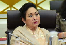 Geram soal Banjir Sumatera, Raja Juli Janji Tertibkan Perizinan dan Usut Kayu Gelondongan