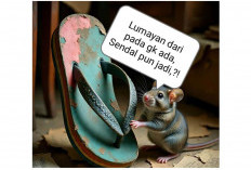 Melacak Telapak Maling ; Yang Merasa Maling, Jangan Teriak!