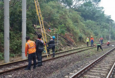 9 Perjalanan KRL Bogor-Jakarta Terganggu Imbas Pohon Tumbang di Stasiun