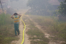 Menghirup Asap Karhutla Bisa Berbahaya, Ini Dampaknya bagi Tubuh