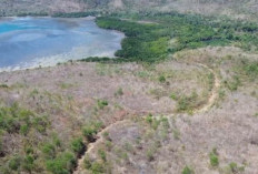 Kementerian PU Usulkan Penanganan Awal Jalur Lintas Utara Flores melalui Skema IJD