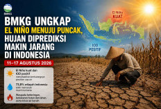 BMKG Ungkap El Niño Menuju Puncak, Hujan Diprediksi Makin Jarang di Indonesia hingga 17 Agustus