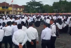 BPKAD Klaim Kas Daerah Penuh, 4.116 PPPK Paruh Waktu Lampung Timur Belum Terima Gaji