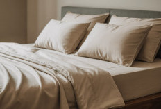 Jangan Malas Ganti Sprei! Jutaan Tungau dan Sel Kulit Mati Mengintai Tidurmu, Ini 5 Bahaya Fatalnya