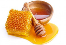 Manfaat Madu bagi Kesehatan, Rahasia Bugar Selama Puasa Ramadan