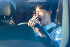 Microsleep Bisa Berakibat Fatal, Kenali Penyebab dan Cara Mencegahnya