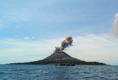 Gunung Anak Krakatau Erupsi 20 Kali, Empat Wilayah Lampung Selatan Terdampak Abu Vulkanik