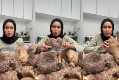 Bukan Sekadar Viral, Kimpul Ternyata Punya Banyak Manfaat!