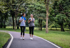 Kebiasaan Jalan Kaki Pagi Hari dan Manfaatnya bagi Kesehatan Tubuh