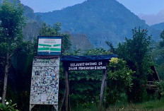 Gunung Betung, Destinasi Wisata Pilihan Untuk Pendakian Ringan dan Wisata Alam