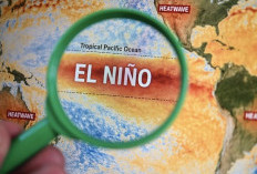 Pasifik Makin Panas, El Nino Ekstrem Mengancam Pola Cuaca Dunia