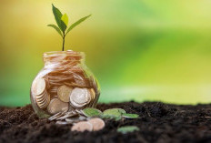 Green Economy Makin Ramai Dibahas, Apakah Benar Jadi Masa Depan Ekonomi Indonesia?