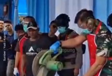 Polda Lampung Terima 166 Senpi Rakitan Secara Sukarela dari Warga, Efek Penindakan Begal