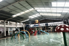 Intip Keunggulan Kolam Renang Menza Bandar Lampung, Semi-Indoor, Aman, dan Ramah Keluarga