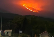 Kebakaran Hutan Rinjani Meluas, Jalur Torean dan Senaru Ditutup Sementara