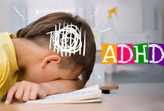 Memahami ADHD: Lebih dari Sekadar Gangguan Fokus dan Hiperaktivitas