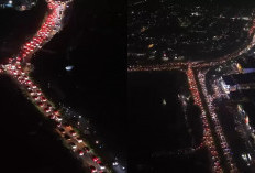 Batam-Bintan Dilanda Blackout dan Gangguan Internet, PLN Duga Dipicu Monyet Masuk Gardu