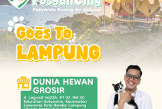 POSYANCING by Holycat Hadir di Lampung, Layanan Kesehatan Kucing Gratis Digelar 25 April