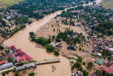 BNPB: 836 Orang Tewas akibat Banjir Sumatra, 509 Masih Hilang