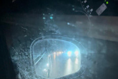 Kaca Mobil Berjamur? Ini Cara Merawatnya Agar Tetap Jernih dan Aman