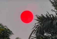 Fenomena Matahari Merah Menyala Meringis di Langit Palangka Raya Imbas Karhutla