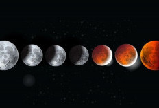 Gerhana Bulan Total Akan Terjadi Besok, Fenomena Astronomi Langka di Langit Malam