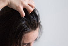Baru Keramas, Tapi Rambut Sudah Lepek Lagi? Mungkin Masalahnya Bukan di Sampo