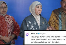 Meta AI Sebut Pemblokiran Akun Demo di Instagram Atas Permintaan Komdigi