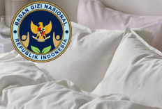 Pengadaan Perlengkapan Tidur BGN Senilai Miliaran Rupiah Jadi Sorotan Publik, Ini Klarifikasinya