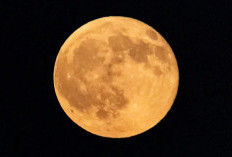Harvest Moon Hiasi Langit Indonesia 26 September 2026, Ini Penjelasan BMKG