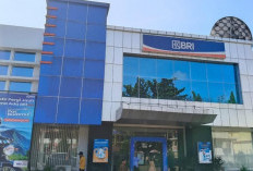 8 Pejabat BRI Terseret Dugaan Korupsi Kredit Sawit Rp922 Miliar