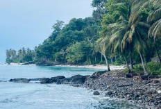 Lagi Cari Pantai dengan Jalur Menantang? Pantai Slimpuyang Bisa Jadi Jawabannya!