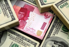 Cadangan Devisa Indonesia Naik Jadi US$146,5 Miliar pada Agustus 2026 