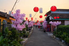 Ada Kampung Sakura di Bandar Lampung, Warga Sulap Gang Jelang 17 Agustus