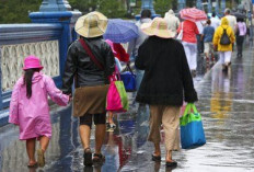 Cuaca Buruk Landa Bandar Lampung, Sejumlah Aktivitas Warga Terhambat