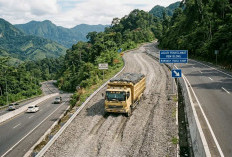 Anti Rem Blong! Ini Dia Jurus Jitu Melewati Jalan Turunan dengan Mobil Manual