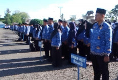 Akhir Tahun Esok, Bupati Ela Bakal Lantik 4121 PPPK Paruh Waktu; 4 Undur Diri, 1 Dipecat