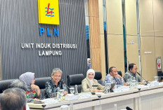 Itera Usulkan Revisi UU Ketenagalistrikan untuk Percepat Energi Bersih