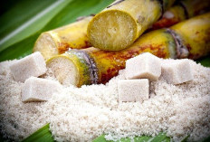 Pemerintah Percepat Swasembada Gula, Produksi Nasional Ditargetkan Terus Meningkat