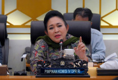 Titiek Soeharto Respons Isu Dugaan Suap Perizinan Hutan, Tekankan Pentingnya Penegakan Aturan