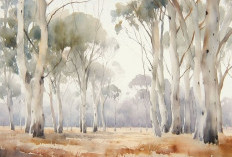 Lebih dari Aroma: Menguak Kekuatan Ekaliptus dalam Melindungi Paru-Paru Kita